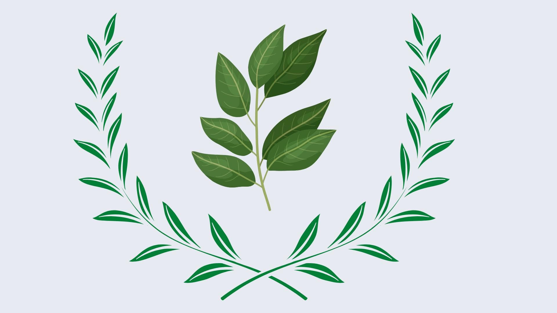 Defne Yaprağı Nedir? Defne Yaprağı Faydaları