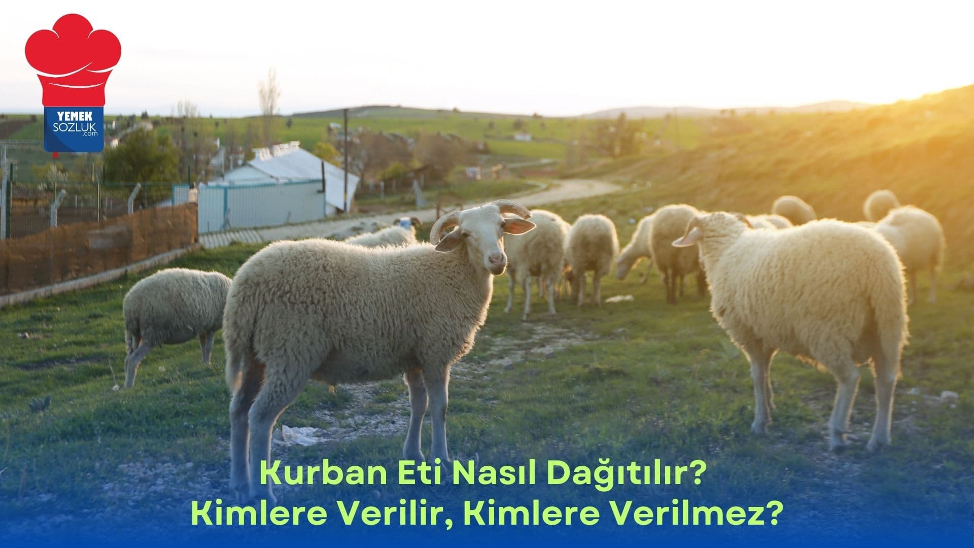 Kurban Eti Nasıl Dağıtılır?  Kimlere Verilir, Kimlere Verilmez?