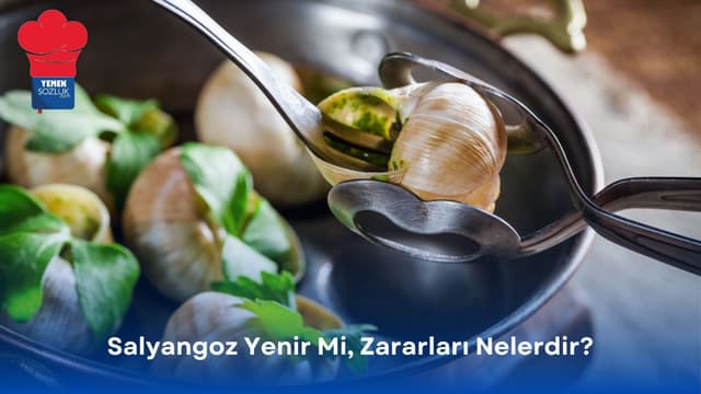 Salyangoz Yenir Mi, Zararları Nelerdir?