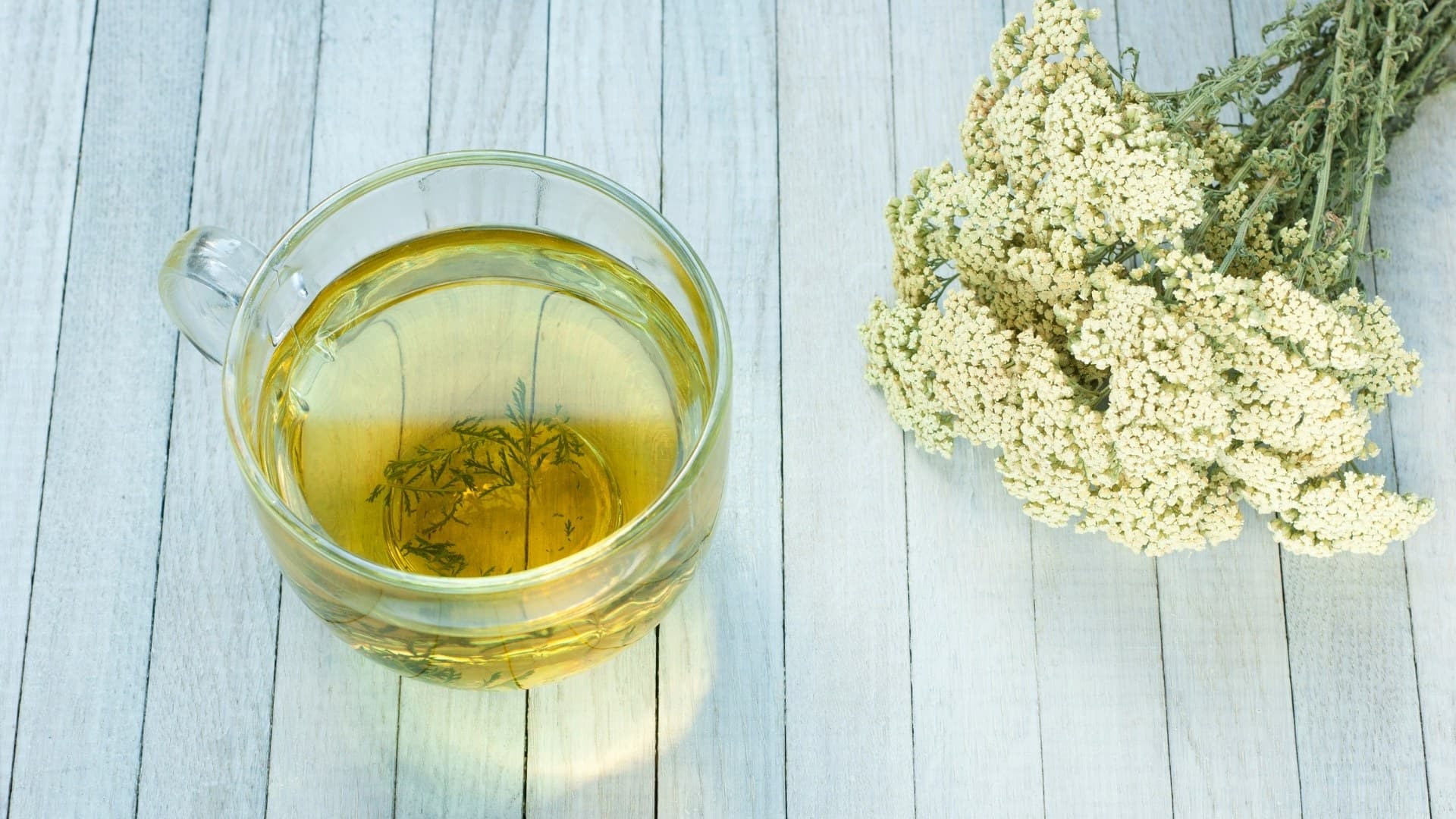 Civanperçemi Çayı