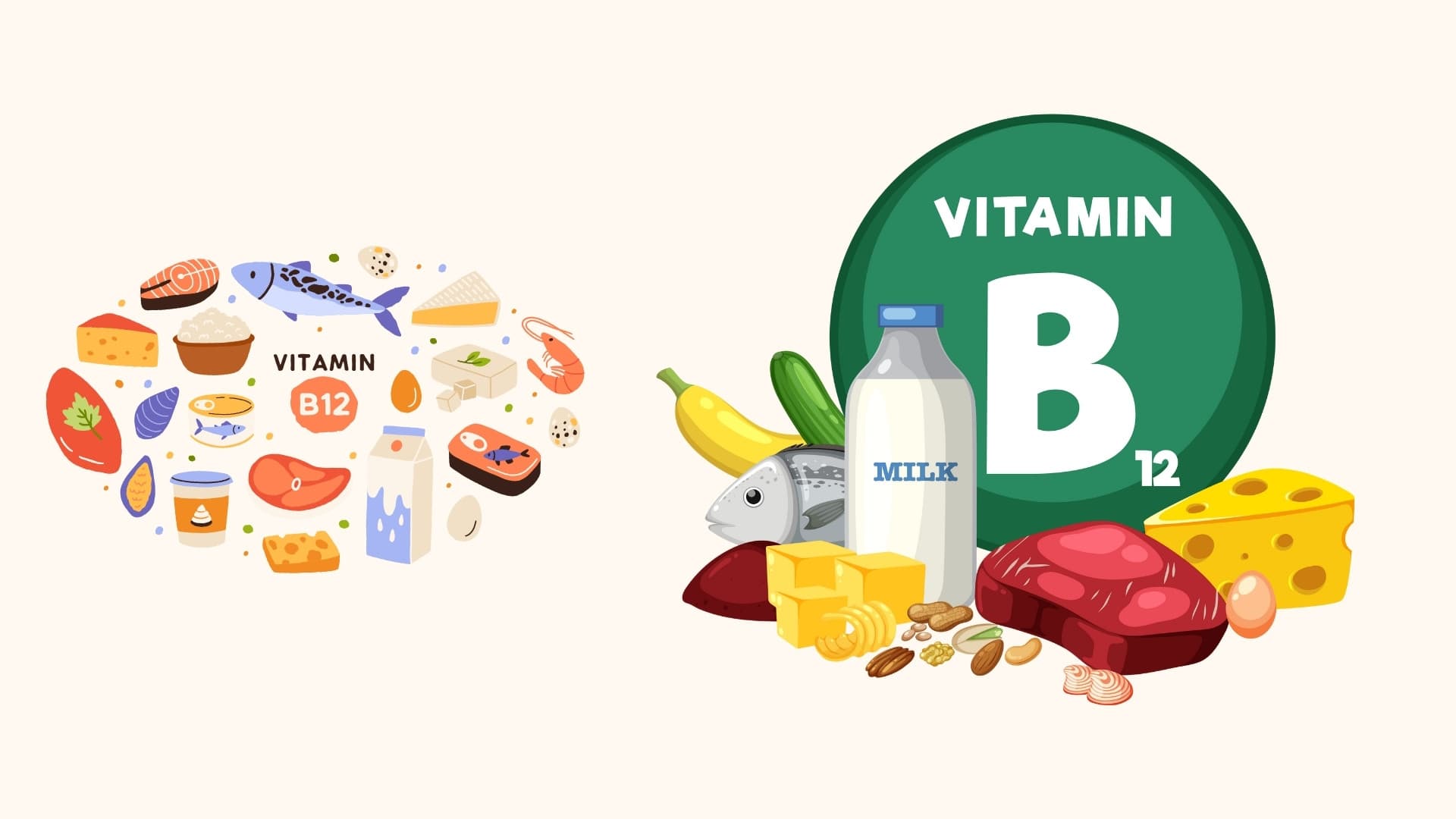 B12 Vitamini Nedir? Eksikliği Nasıl Anlaşılır?