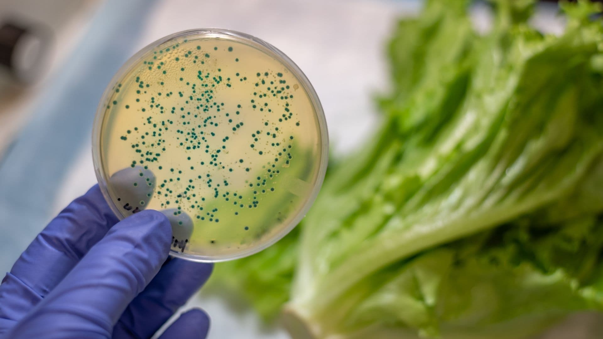 Çapraz Bulaşma Nedir ve Nasıl Önlenir?