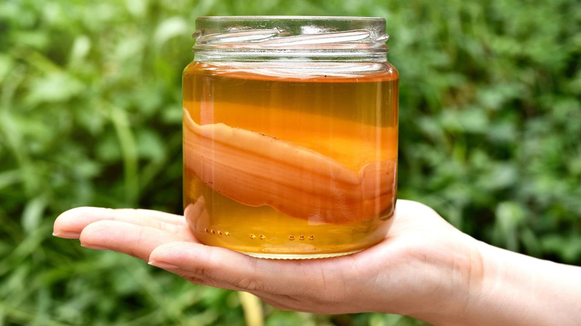 Kombucha Gerçekten Mide Dostu mu, Yoksa Sadece Bir Trend mi?