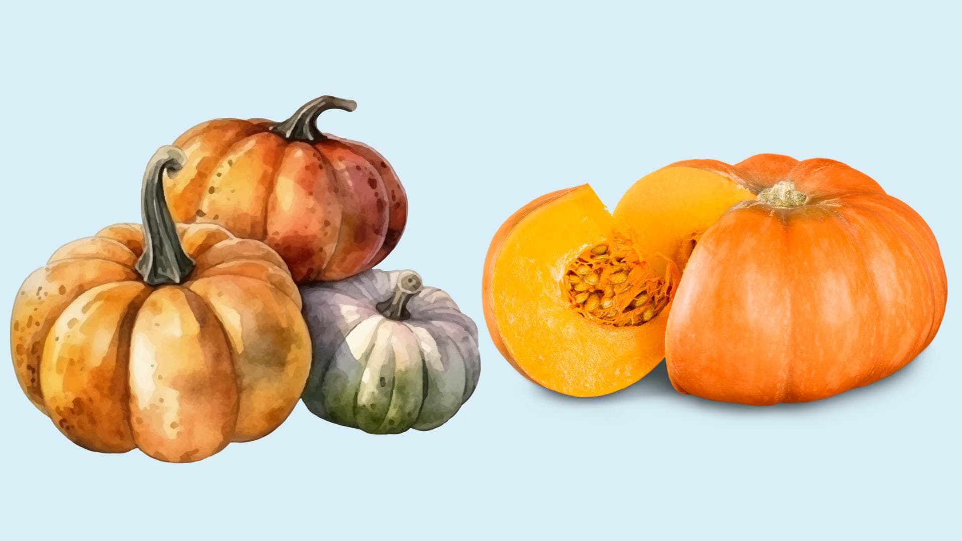 Bal Kabağı Nedir? Faydaları Nelerdir?