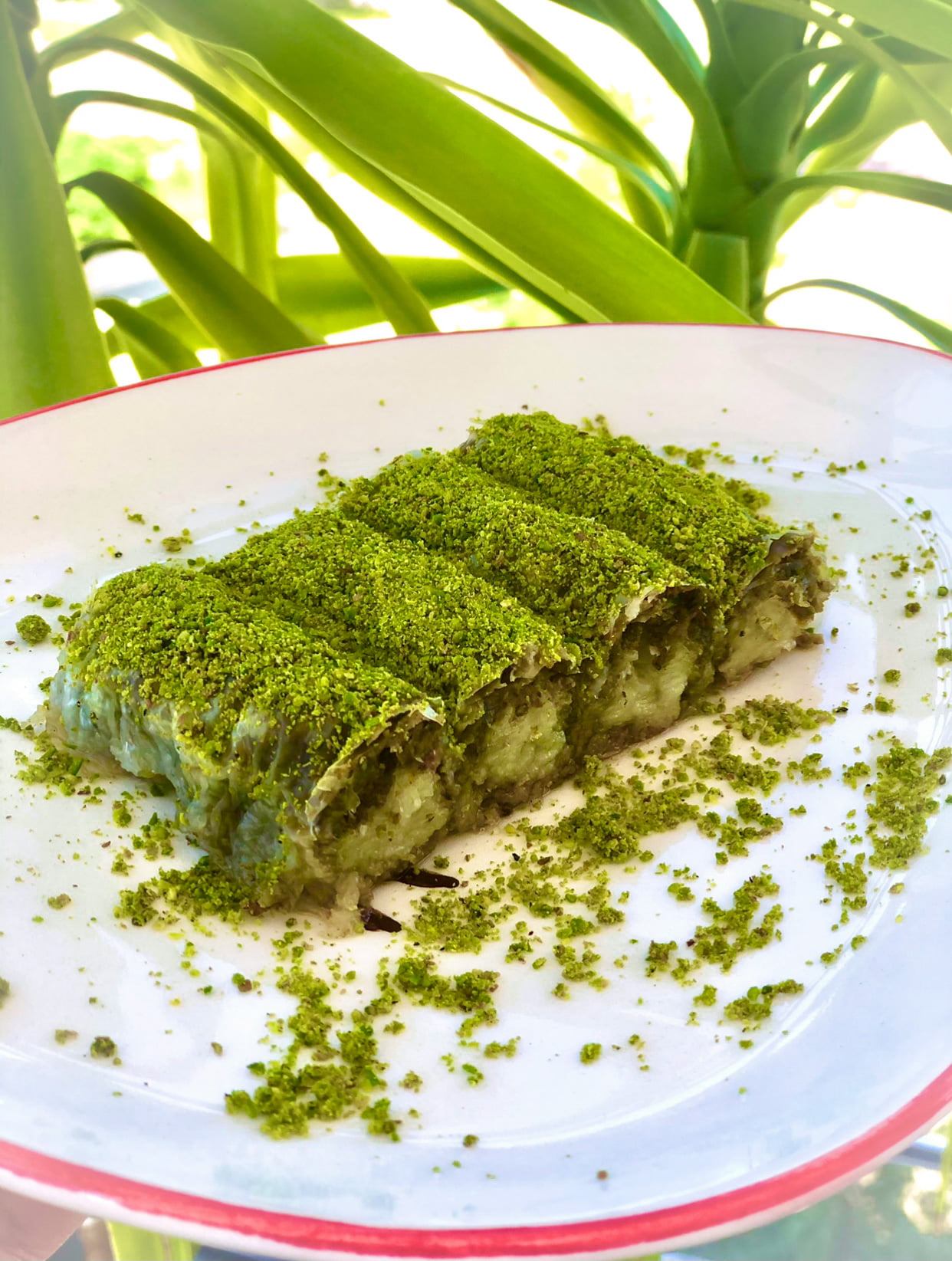 Ev Yapımı Fıstık Sarma