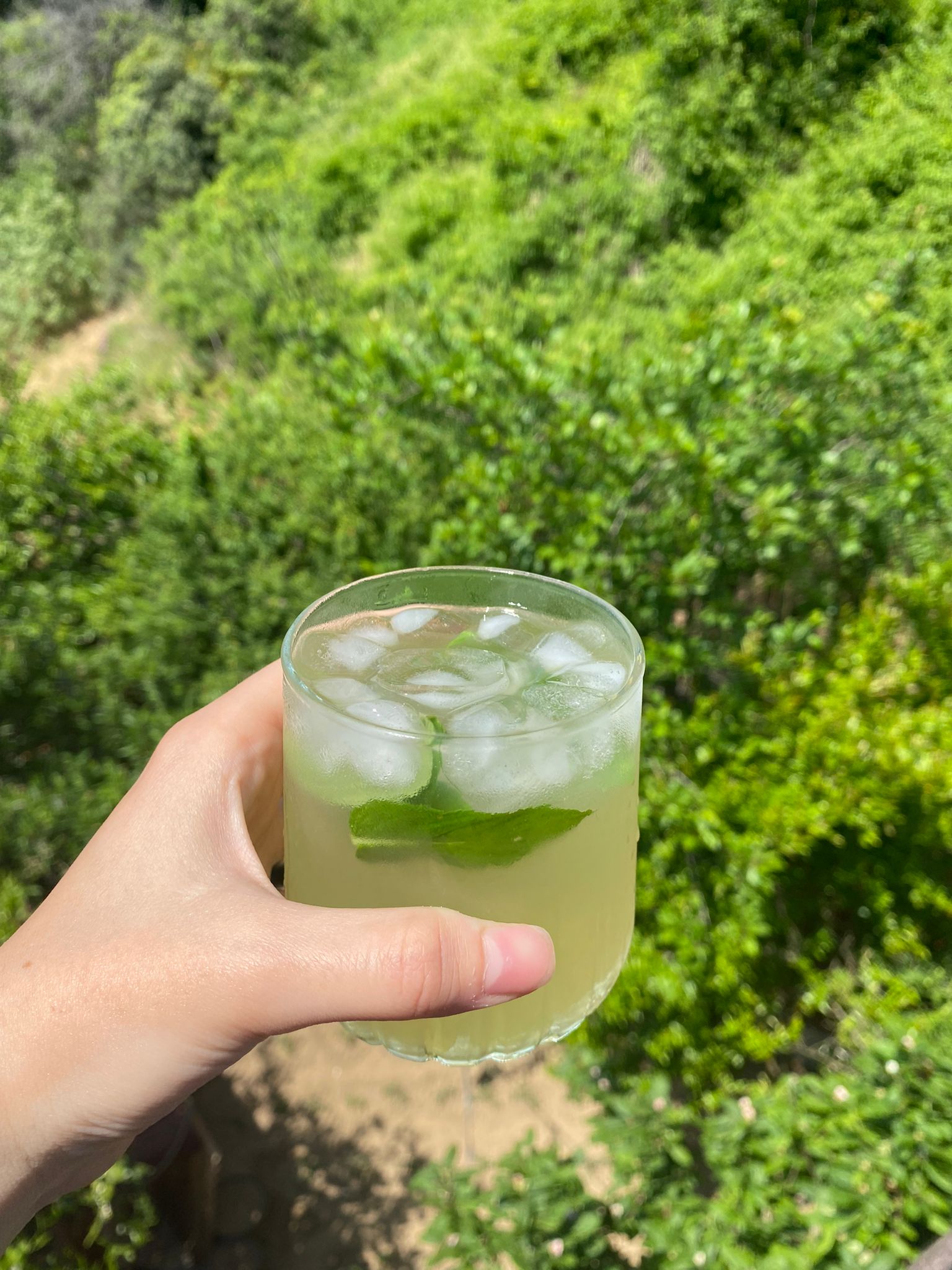 Cool Lime