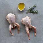 Bıldırcın Eti nedir