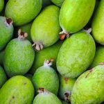 Feijoa nedir