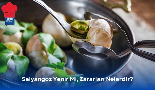 Salyangoz Yenir Mi, Zararları Nelerdir?