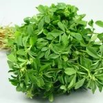 Çemen Otu - Cemen Otu