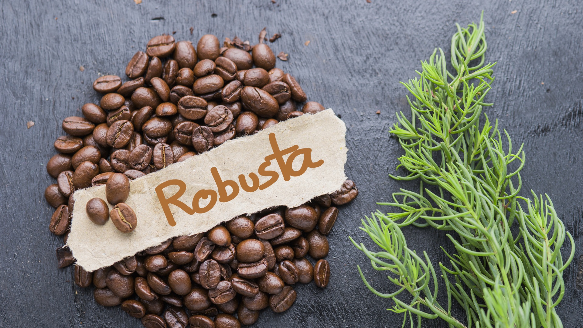 Robusta