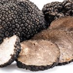 Trüf Mantarı nedir