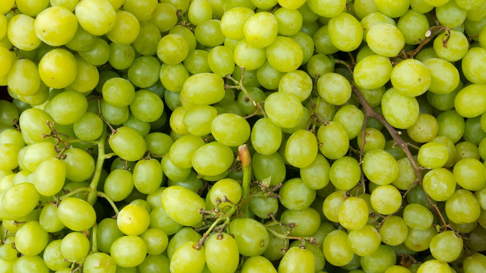 yeşil üzüm faydaları neler