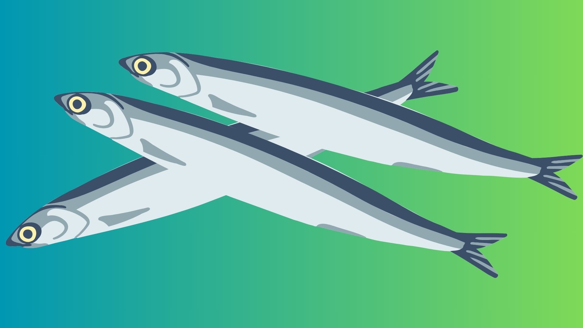 Hamsi ne zaman cikar